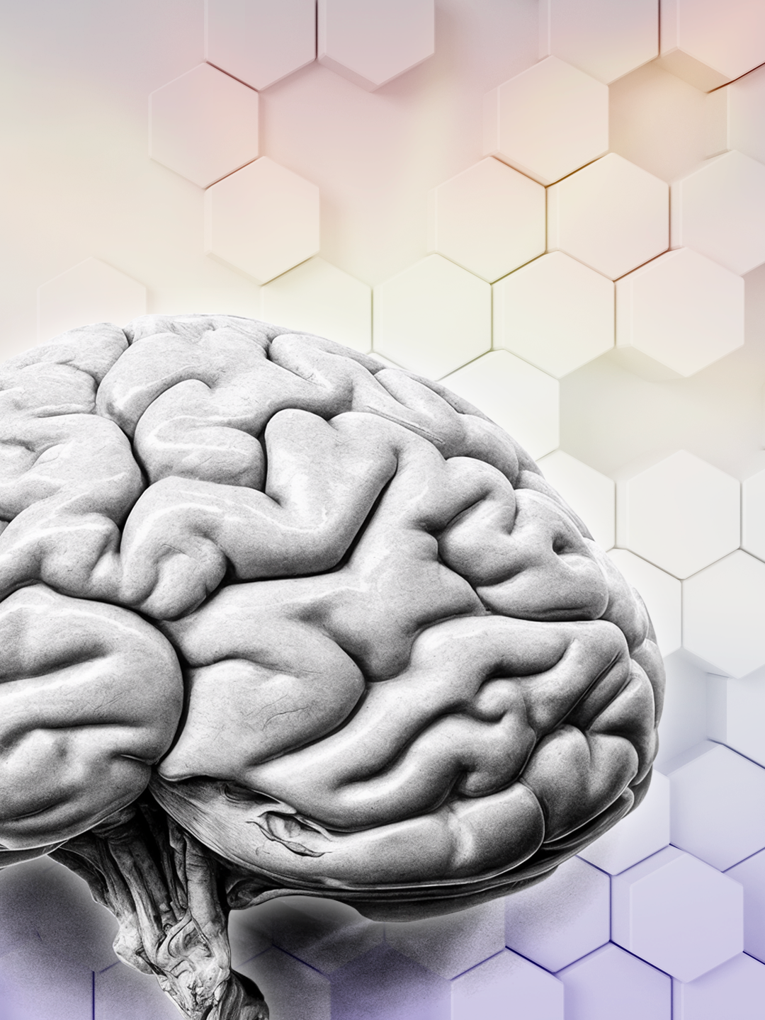 ALPHA MIND